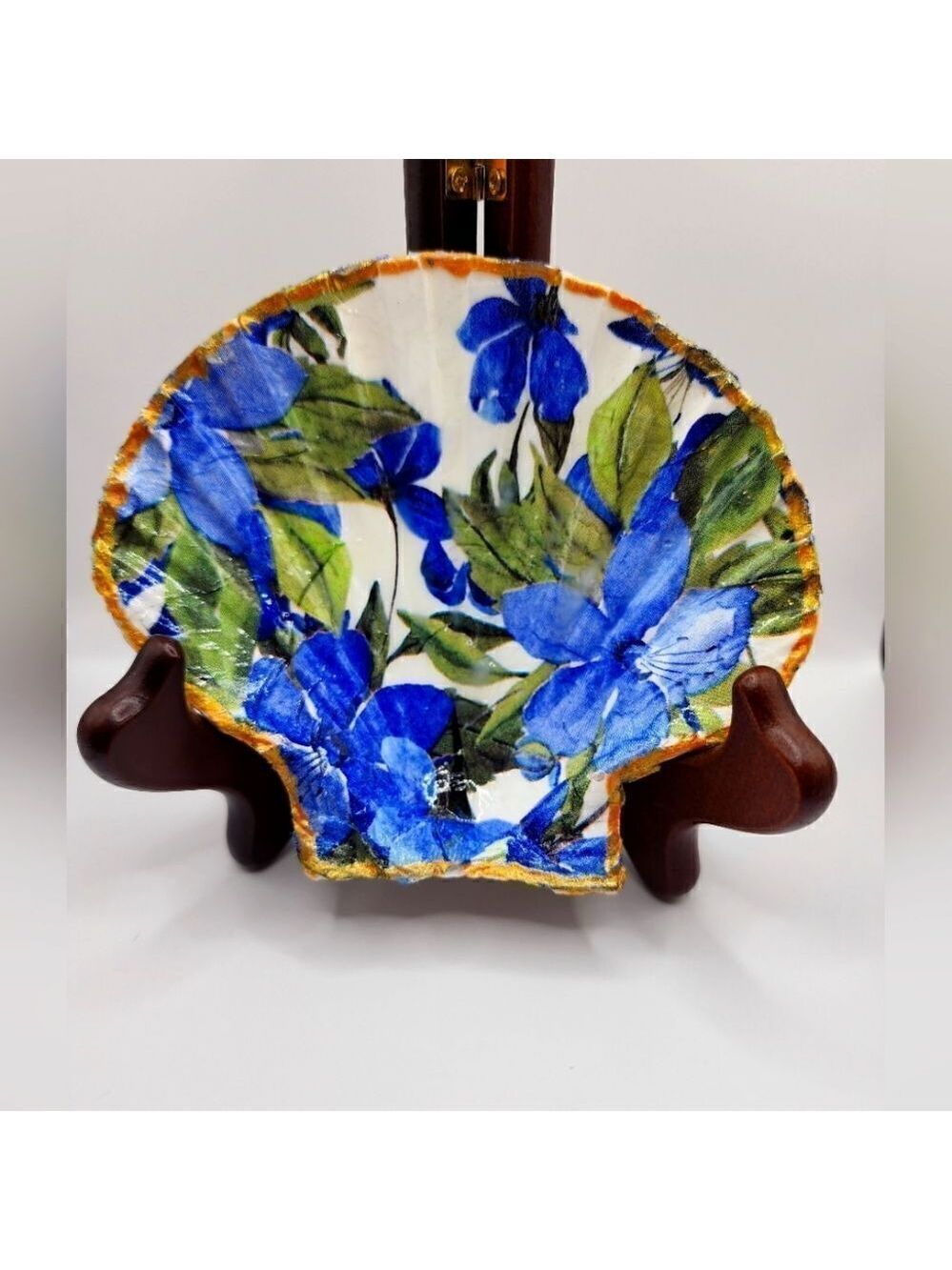 Scalloped Fan Shell 